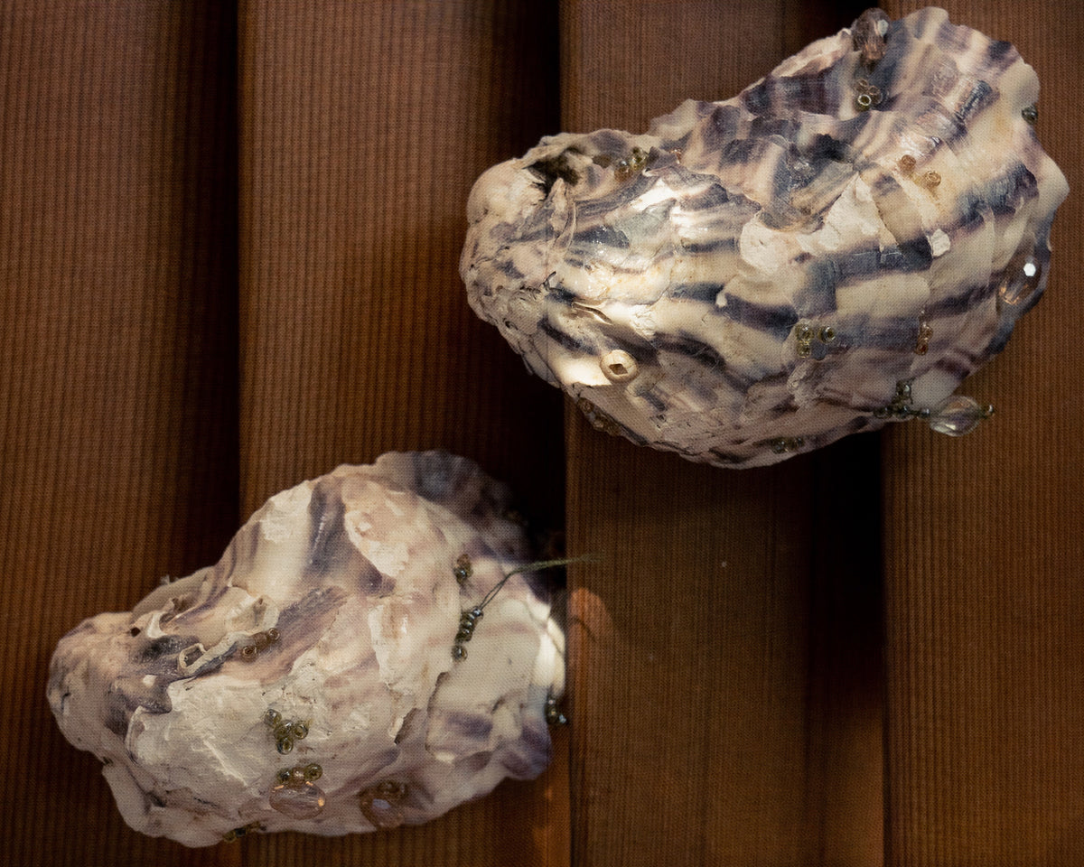 Oyster Brooch